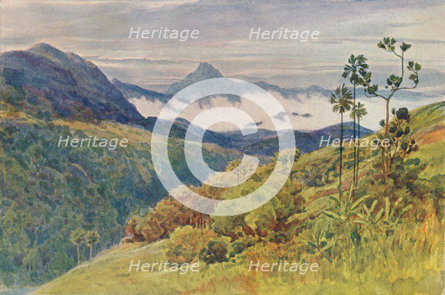 'Morning Mists in the Valley of the Mahawelli Gangha', c1880 (1905). Creator: Alexander Henry Hallam Murray.