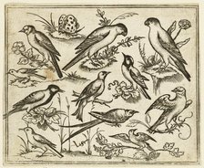 Eleven birds sitting on patches of flowering foliage and small branches..., 1557.  Creator: Virgil Solis.