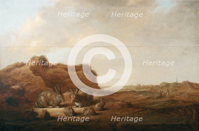 Landscape with rabbits.
