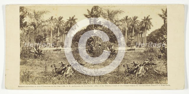 View at the Bishop's Garden, Havana, 1860. Creator: Anthony & Company.