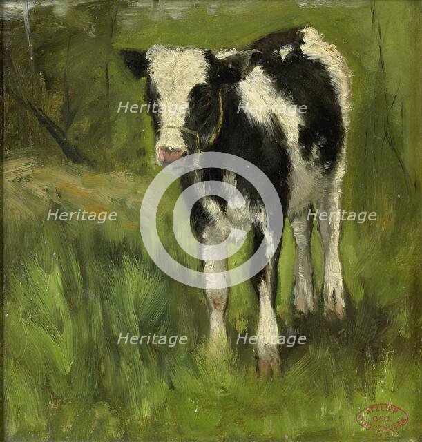 Calf, spotted black and white, c.1873-c.1903. Creator: George Poggenbeek.