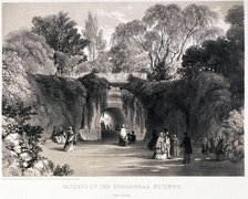 Zoological Gardens, Regent's Park, Marylebone, London, c1840. Artist: FW Hulme