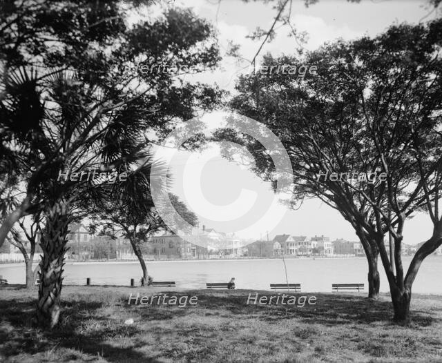 Colonial Lake, Charleston, S.C., between 1900 and 1910. Creator: Unknown.