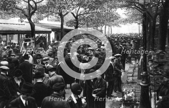 General view of the bird market, Paris, 1931.Artist: Ernest Flammarion