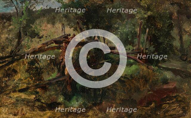 Forest road with fence, c1870/1880. Creator: Johann Till.