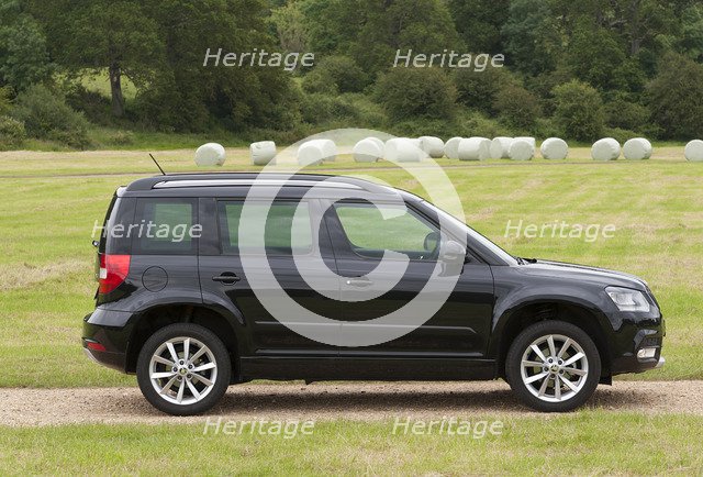 2014 Skoda Yeti SE Artist: Unknown.