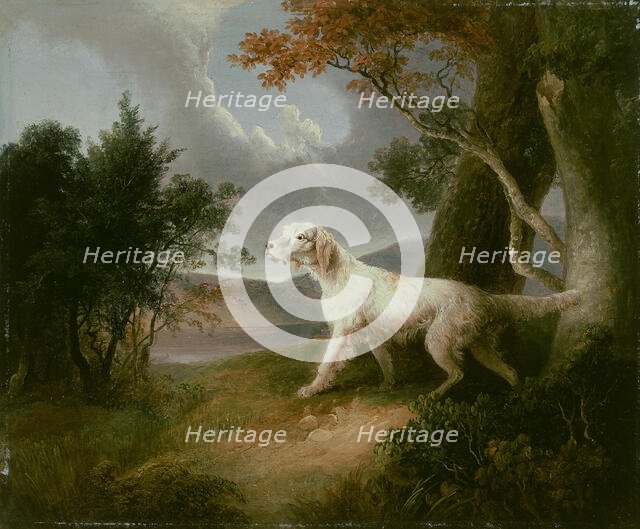 Landscape with Dog, 1832. Creator: Thomas Doughty.