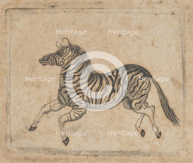 Banknote vignette showing a zebra, ca. 1824-37. Creator: Attributed to Asher Brown Durand.
