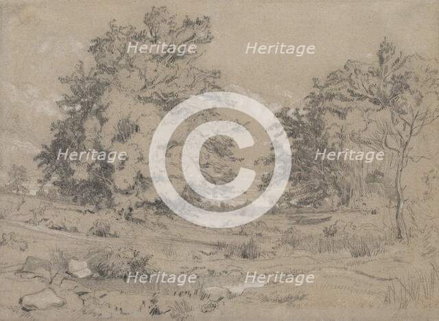 A Pond In The Forest, c1840. Creator: Constant Troyon.