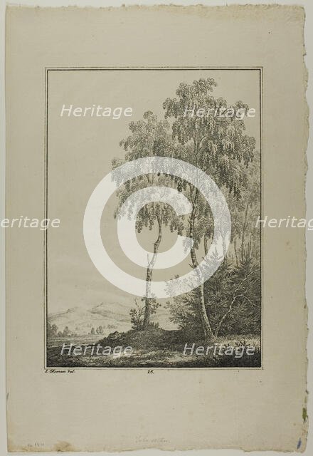 Plate 25 from Blatt Baum und Landschafts Studien, c.1810. Creator: Lorenz Ekemann Alesson.