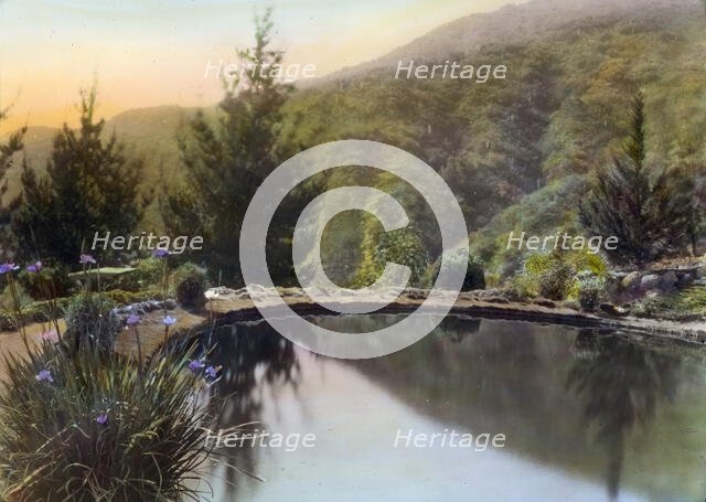 William Alexander Spinks, Jr., ranch, Foothill Boulevard, Duarte, California, 1917. Creator: Frances Benjamin Johnston.
