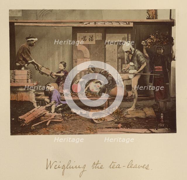 Weighing the Tea Leaves, about 1873-1883. Creator: Shinichi Suzuki I.