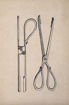 Surgical instruments. Creator: Unknown.