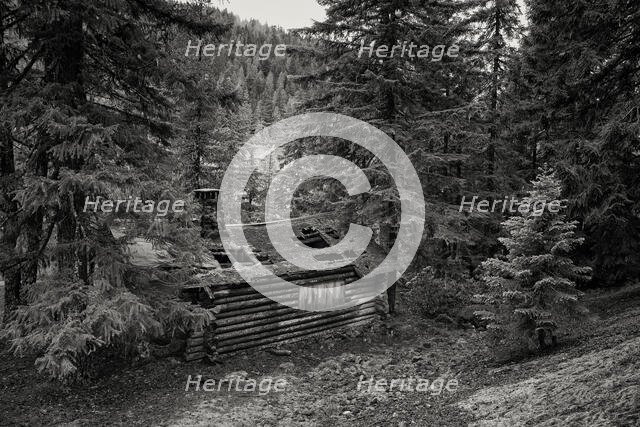 Lost and Forgotten. Creator: Joshua Johnston.