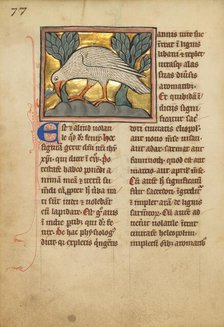 A Phoenix; De Natura Avium; De Pastoribus et Ovibus, 1277 or after. Creator: Unknown.