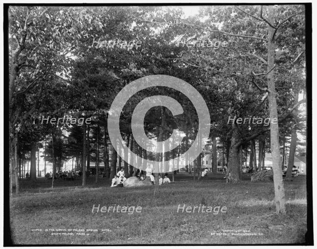 In the grove at Poland Spring Hotel, South Poland, Maine, c1900. Creator: Unknown.