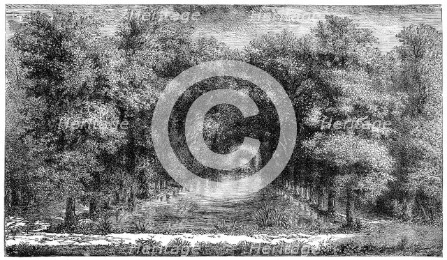 Chantilly Park, Paris, France, (1885). Artist: Unknown