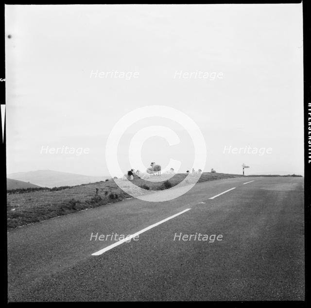 B3212 road, Challacombe Cross, Dartmoor, Devon, 1967. Creator: Eileen Deste.
