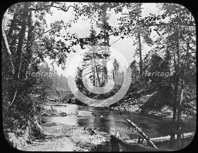 Backwoods, Western USA, late 19th or early 20th century. Artist: Unknown