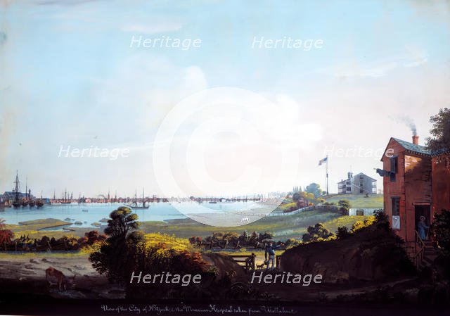 View of the City of New York and the Marine Hospital Taken from Wallabout. Creator: Nicolino Calyo.