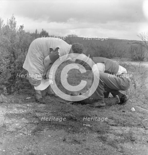 Migrant pea workers on the road with tire trouble, California, 1936. Creator: Dorothea Lange.