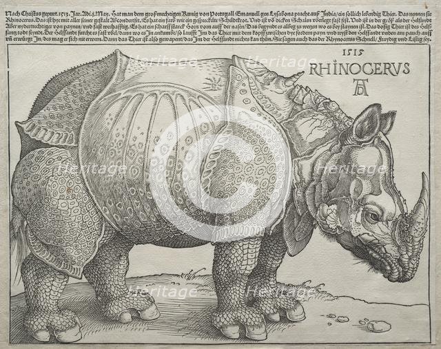 The Rhinoceros, 1515. Creator: Albrecht Dürer (German, 1471-1528).