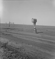 Mailbox in Dust Bowl, Coldwater District, north of Dalhart, Texas, 1938. Creator: Dorothea Lange.