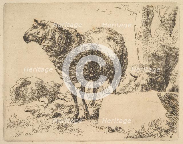 from The Set of Sheep. Creator: Nicolaes Berchem.