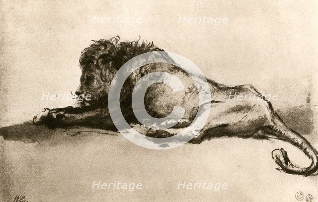 Study of a Lion, 1913.Artist: Rembrandt Harmensz van Rijn    