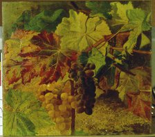  'Grapes'  by Josep Mirabent.