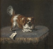 The dog Courtisan, c17th century. Creator: Unknown.