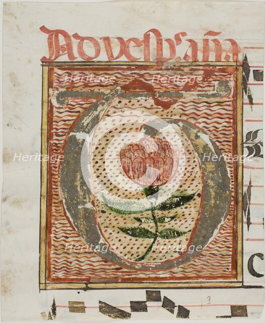 Decorated Initial "T" with Flower from a Manuscript, n.d. Creator: Unknown.