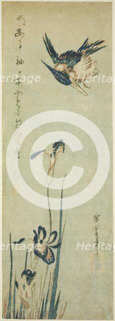 Kingfisher and iris, 1830s. Creator: Ando Hiroshige.
