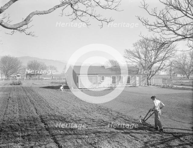 El Monte federal subsistence homesteads, California, 1936. Creator: Dorothea Lange.
