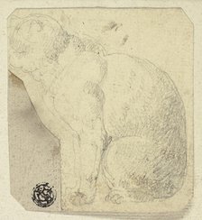 Seated Cat in Profile, n.d. Creator: Unknown.