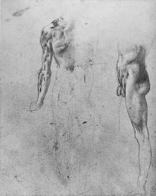'Studies of a Nude Man Seen from the Back and from the Side', c1480 (1945). Artist: Leonardo da Vinci.