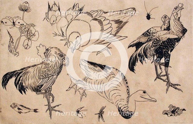 Roosters, Ducks, etc., 1866. Creators: Felix Bracquemond, Hokusai.