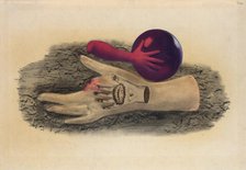 Hand, 1940. Creator: Styrsky, Jindrich (1899-1942).