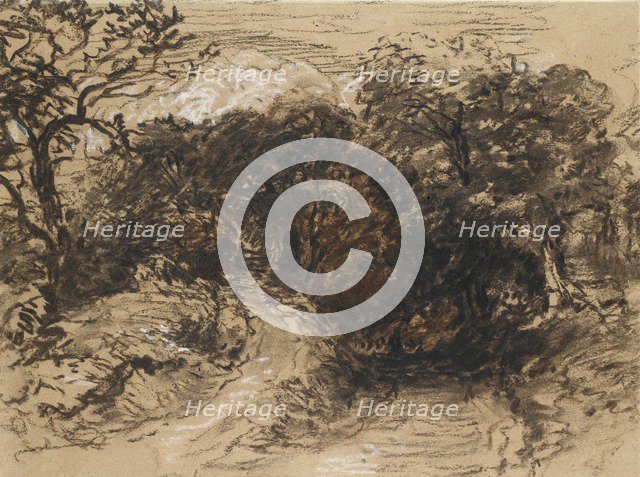 A hollow Lane near Harborne, Derbyshire, 19th century. Artist: David Cox the elder.