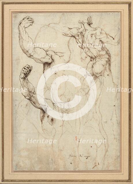 Study of a Nude Seen from the Back, and Two Studies of an Arm (recto); Nude...,c.1528. Creator: Perino del Vaga.