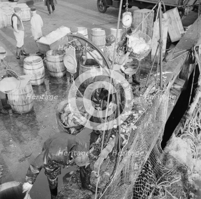Stevedores at the Fulton fish market unloading fish from boats caught..., New York, 1943. Creator: Gordon Parks.