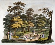 View of the 'dipping' well in Hyde Park, Westminster, London, c1810. Artist: William Pickett
