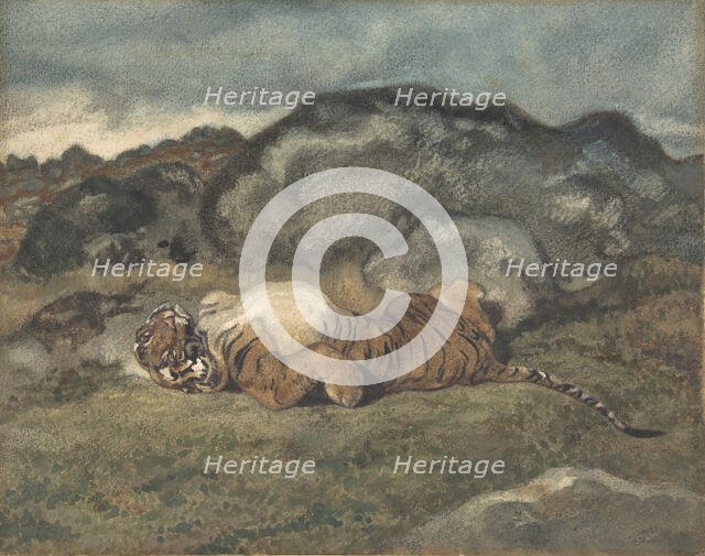 Tiger Rolling on Its Back, 1810-75. Creator: Antoine-Louis Barye.