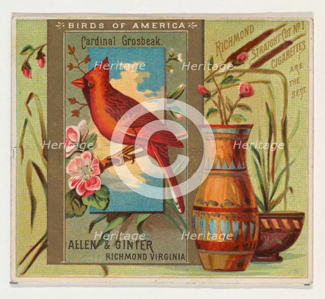 Cardinal Grosbeak, from the Birds of America series (N37) for Allen & Ginter Cigarettes, 1888. Creator: Allen & Ginter.