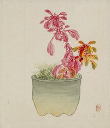Leaf from Album Depicting Birds, Flowers, Landscapes, and Flower Pots, 1876. Creator: Yoshizawa Setsuan.