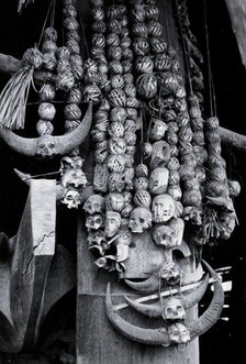 Trophies of a headhunter's house of the Chang Naga tribe, India,..., c1930s. Creator: Unknown.