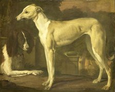 Portrait of a Greyhound and Spaniel, 1665-1680. Creator: Jan Weenix.