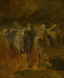 Unfinished Study of Sheep, c. 1850. Creator: Constant Troyon.