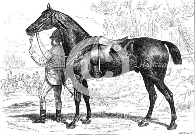 The Horse Show at the Agricultural Hall, Islington: Mr. W. Armstrong's hunter, "Cashier", 1874. Creator: Unknown.