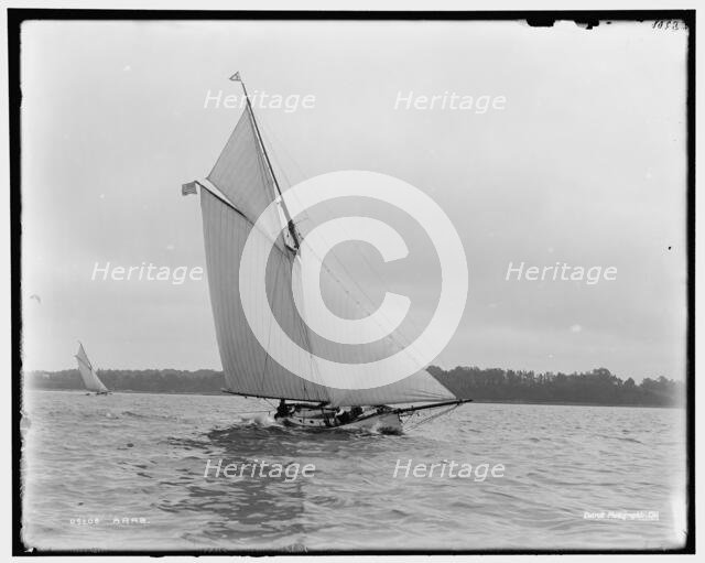 Arab, between 1886 and 1899. Creator: Unknown.
